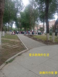 爱跳舞是什么歌 爱跳舞是什么歌