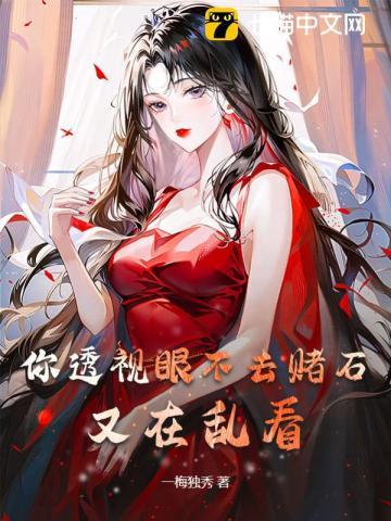 透视眼赌石捡漏 透视眼赌石捡漏