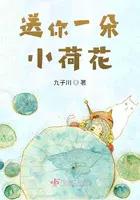 送你一朵小花是哪个湖