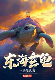 东海神龟长什么样