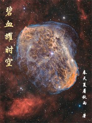 碧血长空完整 碧血长空完整