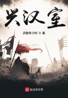 兴汉室TXT奇书网